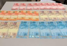 Ação integrada das Polícias Civil e Federal resulta na apreensão de dinheiro falso