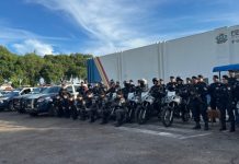 Operação Tentáculos reforça policiamento e resulta em flagrantes e remoções de veículos