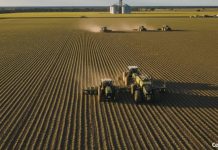 Soja mato‑grossense deve ultrapassar 50 milhões de toneladas na safra