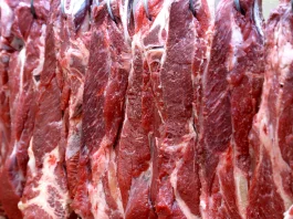 Exportações de carne bovina do Brasil batem recorde em 2026