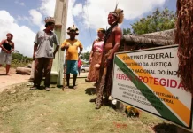 Agro estima perda de R$ 173 milhões com novas demarcações indígenas em MT