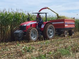 Paranaíta recebe novos equipamentos para fortalecer a bacia leiteira