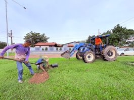 Apiacás intensifica arborização urbana com mudas nativas e frutíferas