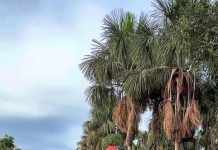 Chuvas intensas causam danos em estradas rurais e pontes em Nova Bandeirantes