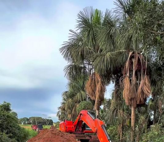 Chuvas intensas causam danos em estradas rurais e pontes em Nova Bandeirantes