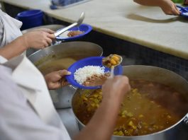 Municípios podem aderir à Estratégia Alimenta Cidades até 31 de janeiro