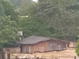 Correnteza arrasta casa e destrói pontes, após fortes chuvas devastarem distrito de Nova União
