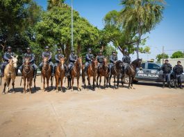 Cavalaria da PM registra mais de 3,5 mil atendimentos em projeto de equoterapia