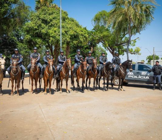 Cavalaria da PM registra mais de 3,5 mil atendimentos em projeto de equoterapia