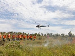 Corpo de Bombeiros aplica mais de R$ 360 milhões em multas por uso irregular do fogo em MT