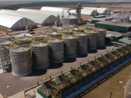 Entenda como acordo UE-Mercosul impacta agroindustrialização em MT