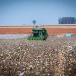 Governo de MT prorroga diferimento do ICMS para fertilizantes e mantém benefício até dezembro de 2026