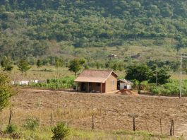 Governo de Mato Grosso lança programa para viabilizar regularização ambiental de pequenas propriedades