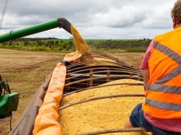 Mato Grosso fecha 2025 como o 4º maior exportador brasileiro