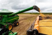 Safra em Mato Grosso cresce mas expõe gargalos logísticos