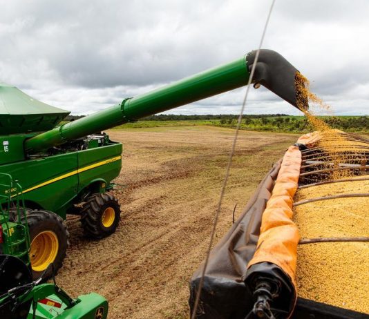 Custo maior da soja desafia produtores de Mato Grosso na safra 2026/27