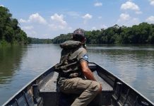 Piracema em MT terá início em outubro e segue até janeiro de 2027