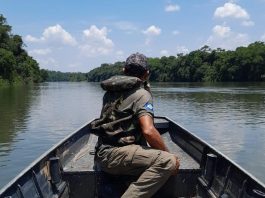 Piracema em MT terá início em outubro e segue até janeiro de 2027