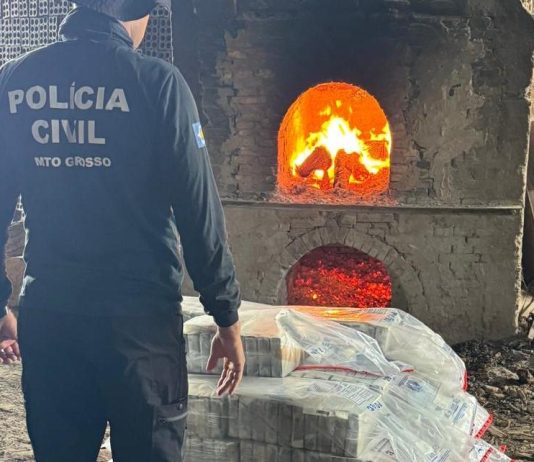 Polícia Civil incinera meia tonelada de drogas apreendidas em Comodoro