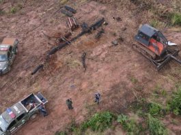 Fiscalizações ambientais da Polícia Militar aplicaram R$ 1,1 bilhão em multas