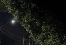 Condutora colide contra poste na Perimetral Rogério Silva em Alta Floresta