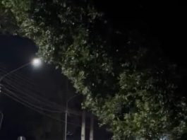 Condutora colide contra poste na Perimetral Rogério Silva em Alta Floresta