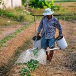 AMM detalha critérios para apuração do Índice de Agricultura Familiar
