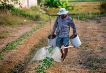 AMM detalha critérios para apuração do Índice de Agricultura Familiar