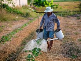 AMM detalha critérios para apuração do Índice de Agricultura Familiar