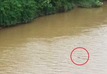 Corpo em decomposição é encontrado no Rio Teles Pires em Paranaíta