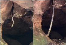 Guia de turismo flagra serpente caniana de mais de 2 metros em caverna de Chapada dos Guimarães