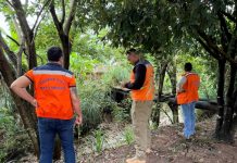 Defesa Civil estadual mapeia áreas de risco em Colíder