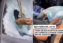 Tora de eucalipto atinge carro na BR-101 em Aracruz