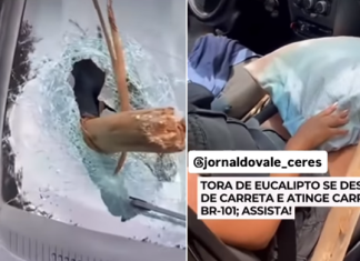 Tora de eucalipto atinge carro na BR-101 em Aracruz