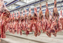 Acordo de leniência com empresas do setor agro paga mais de R$ 31 milhões