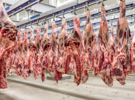 Acordo de leniência com empresas do setor agro paga mais de R$ 31 milhões