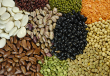 Brasil projeta safra recorde de 356 milhões de toneladas