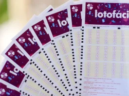 Lotofácil: Três apostas de MT com 14 acertos