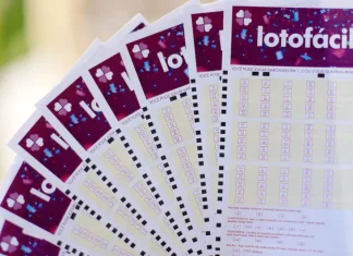Lotofácil: Três apostas de MT com 14 acertos