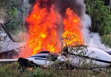 Forças do Brasil e Peru destroem aviões usados no narcotráfico