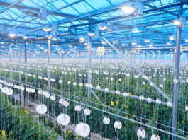 Agricultura espacial no Brasil gera novos desenvolvimentos para o campo