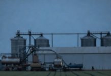 Facções começam a agir no agronegócio e acendem alerta social em Mato Grosso Imagem gerada por IA