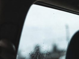 Alta Floresta tem segunda nublada e úmida com possibilidade de chuva