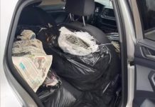 Polícia apreende grande carga de pescado irregular na MT-010