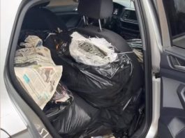 Polícia apreende grande carga de pescado irregular na MT-010
