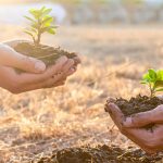 Fórum de meio ambiente debate legislação e obrigações para cooperativas