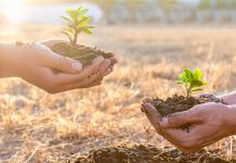 Fórum de meio ambiente debate legislação e obrigações para cooperativas