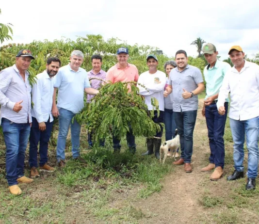 Parceria para produção de mudas de café é encerrada em Nova Bandeirantes