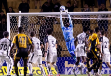 Novorizontino elimina o Corinthians e alcança final inédita do Paulistão