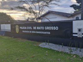 “Dá em árvores”; PM prende suspeitos e apreende cocaína escondida em geladeira e árvore em MT